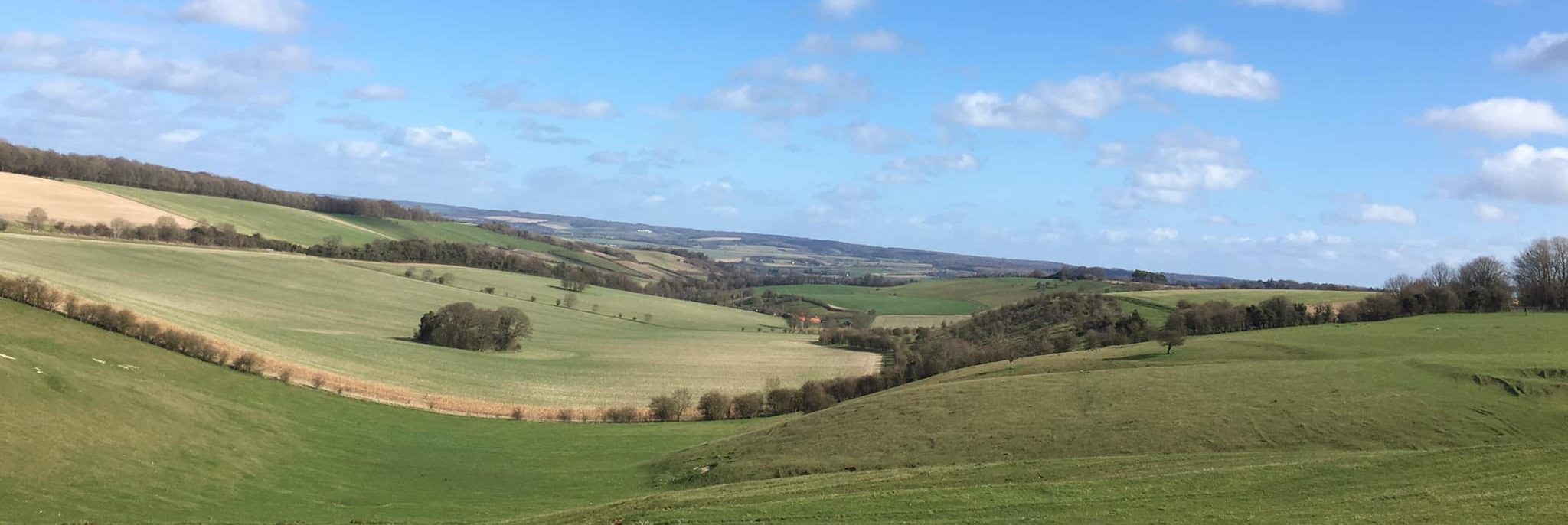 Hardwick Road Verge Restoration Mend the Gap