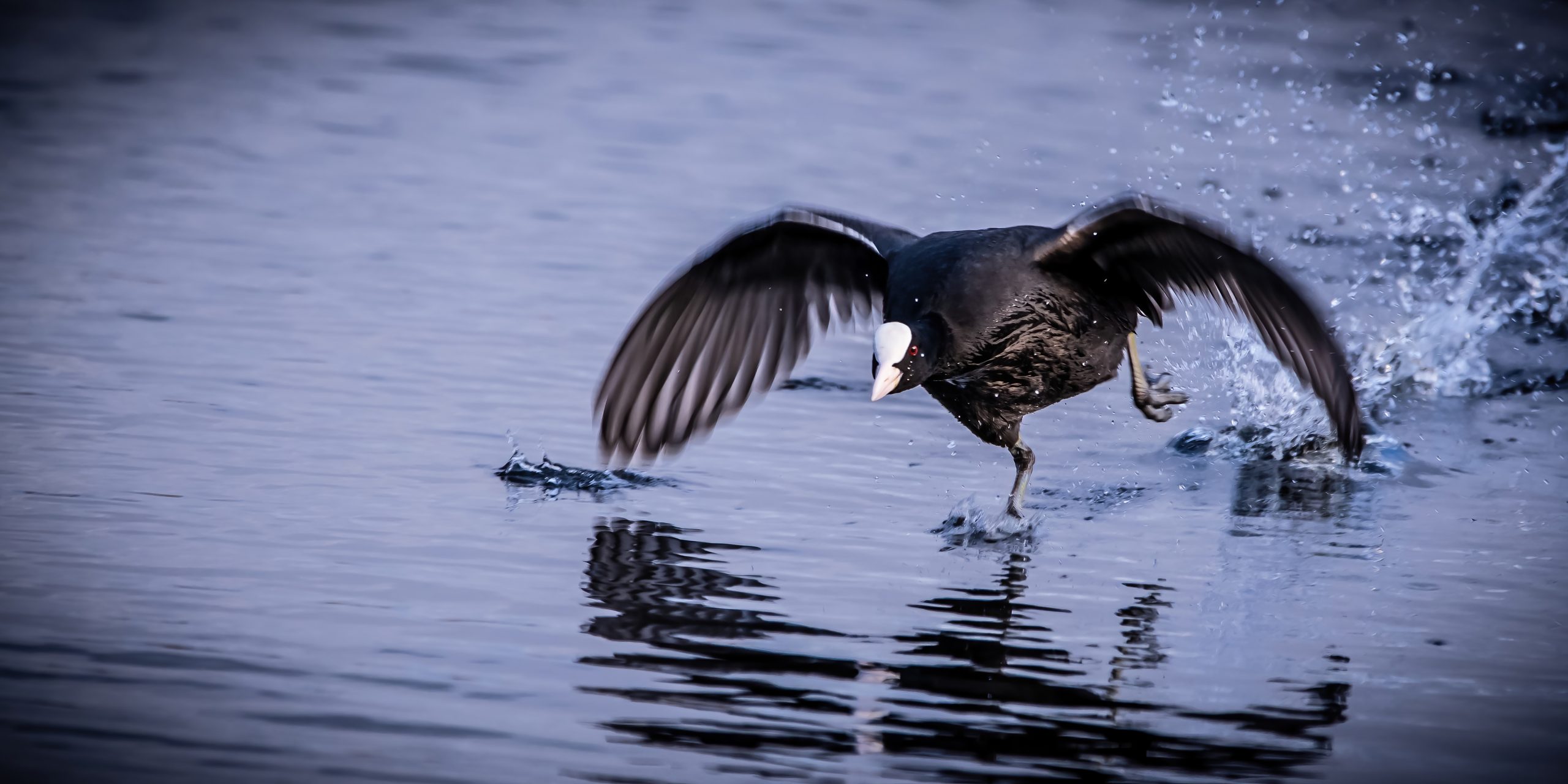 MtG Thames Simon Booker 2023