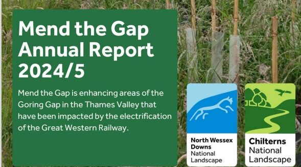 Mend the Gap Annual report