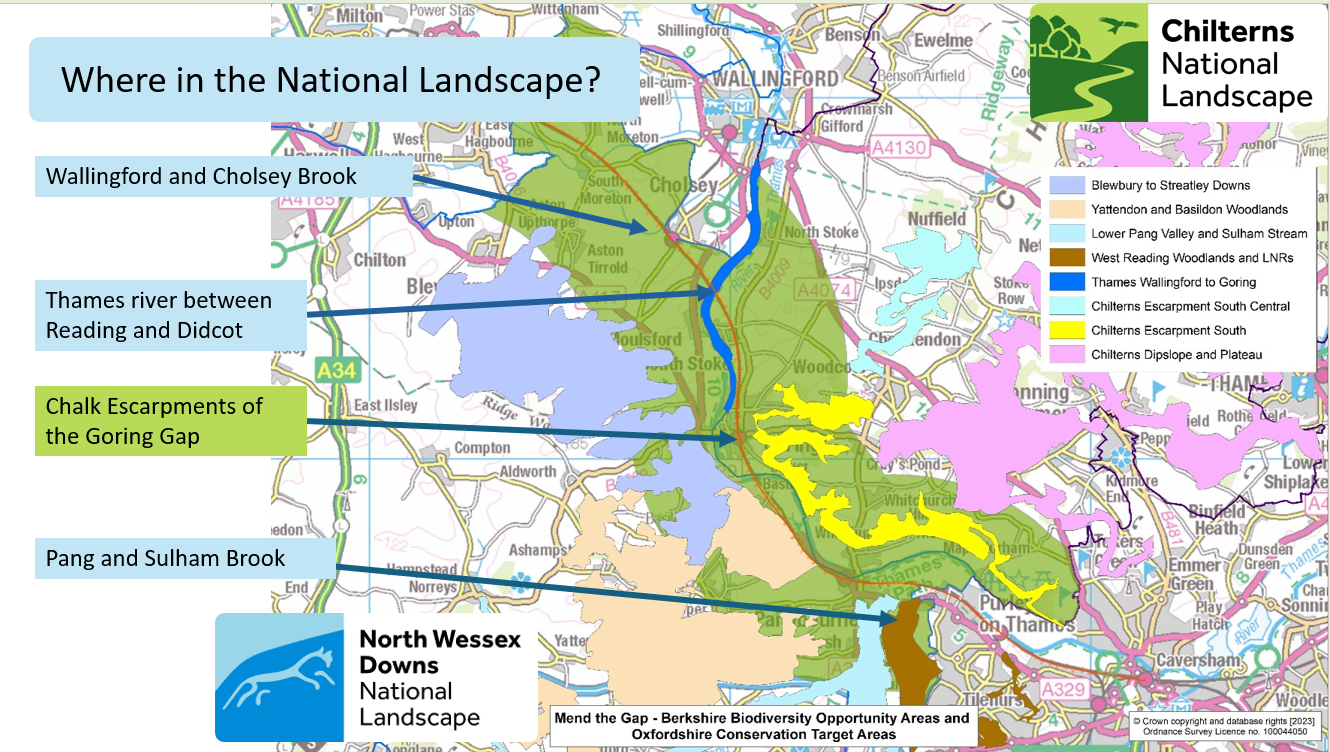 a map of the area between Reading and Didcot will illustrations of the Conservation Target Areas and Biodiversity areas of South Oxfordshire and West Berkshire
