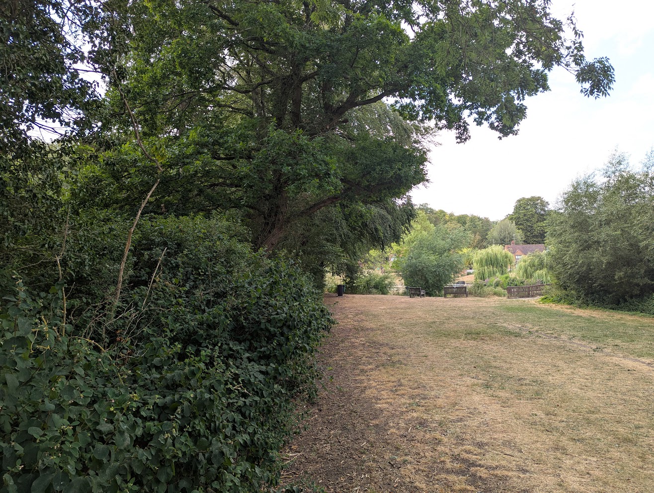 Ferry Lane 3