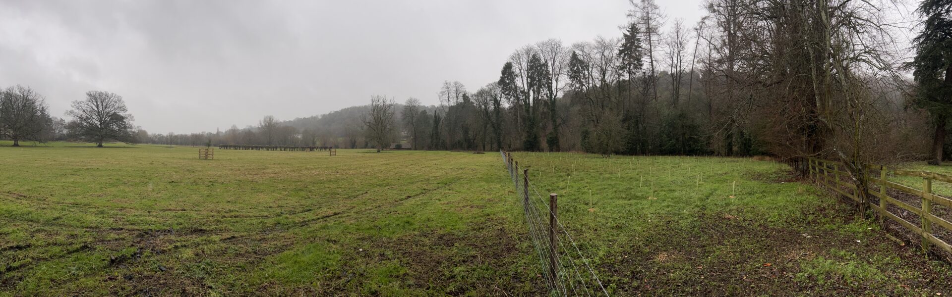 Thamesside Nature Recovery in Goring