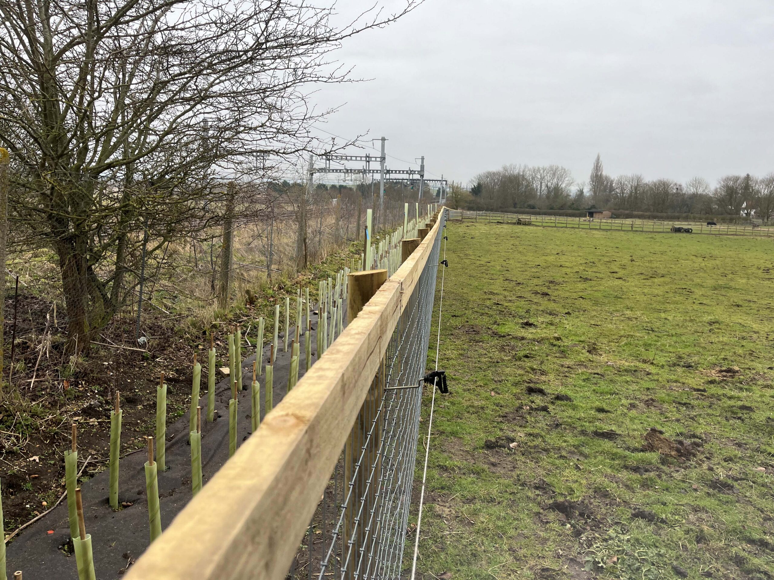 South Moreton mitigation resized